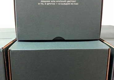 Подарочная картонная упаковка с печатью